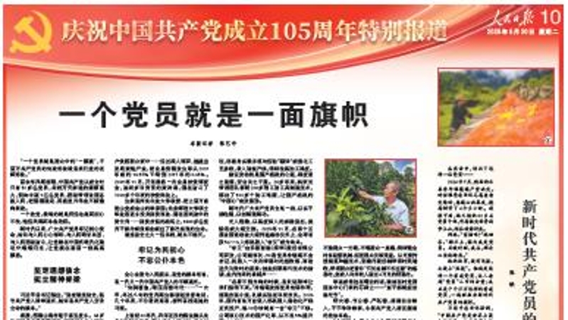 一个党员就是一面旗帜