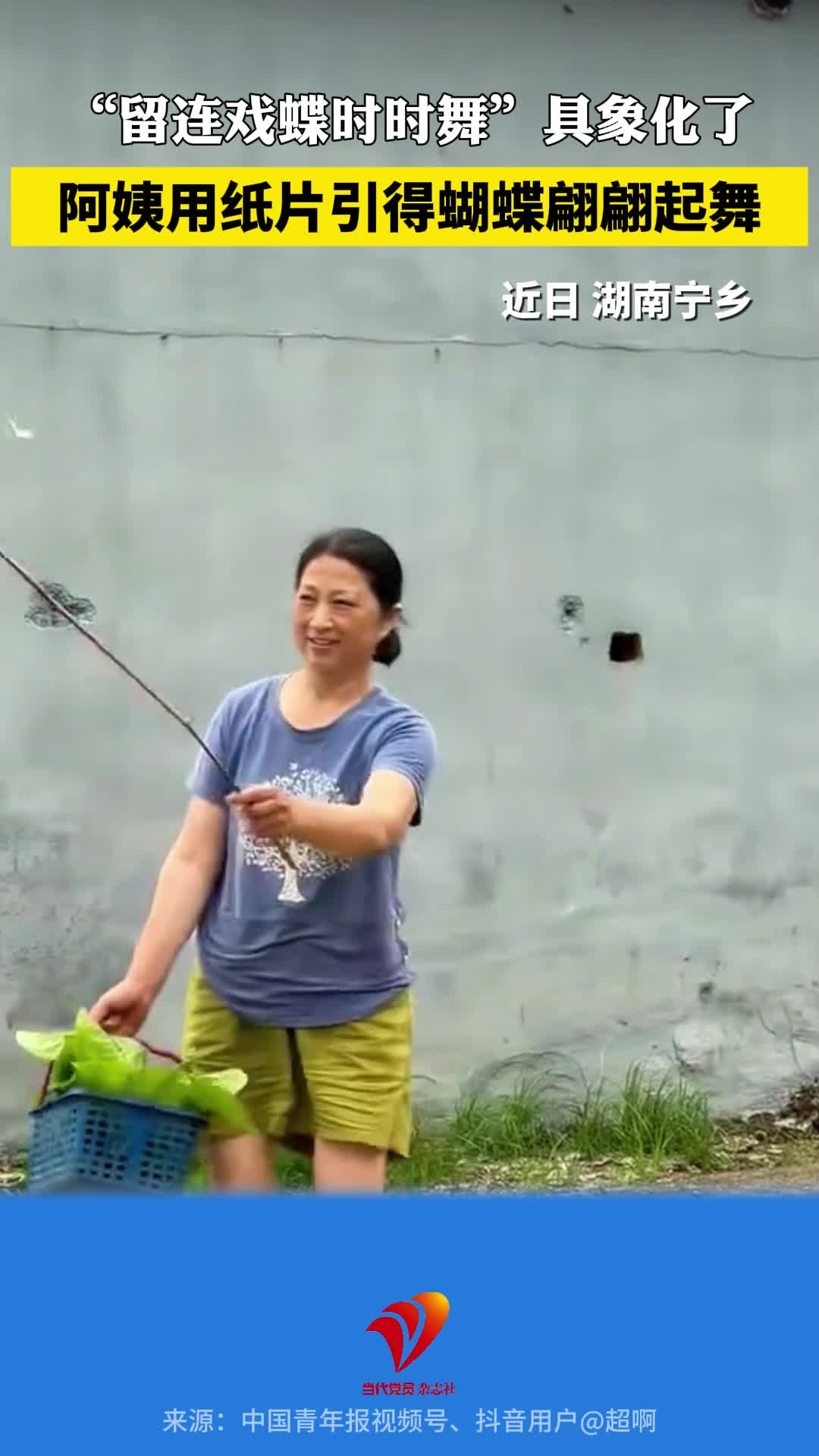 阿姨用纸片引得蝴蝶翩翩起舞，“留连戏蝶时时舞”具象化了！