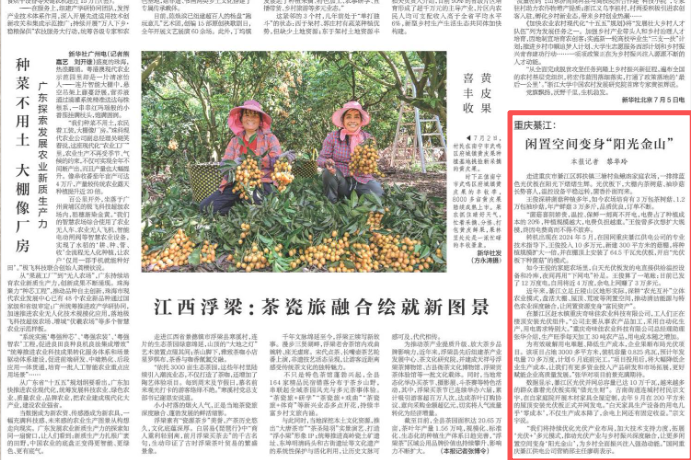 新华每日电讯看重庆｜綦江：闲置空间变身“阳光金山”