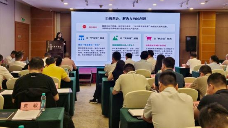 重庆市经济和信息化委员会：党建领航聚湾区 支部联建促招商