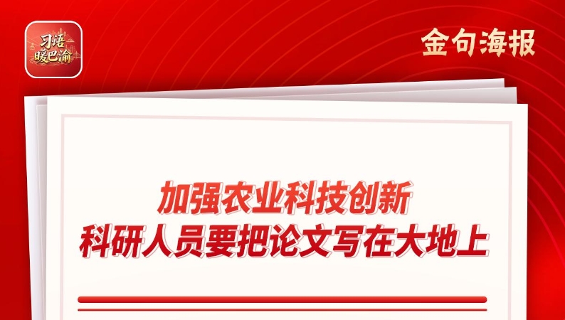 习语暖巴渝｜黄桃翠：让油菜含油量突破52.37%的育种先锋