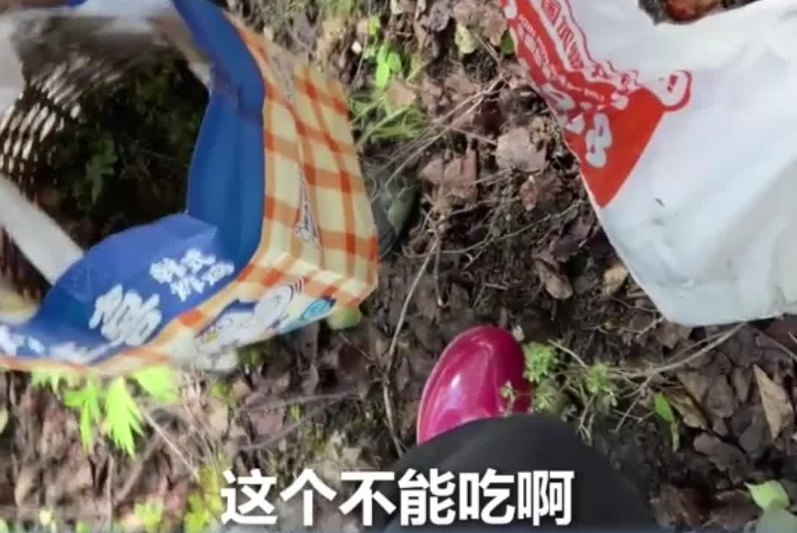 网友上山误采毒菌，路遇当地“小孩哥”帮忙分拣。“小孩哥”无语，只是一味地往外丢……
