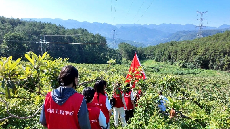 躬身沃土践初心，青春奋进新征程