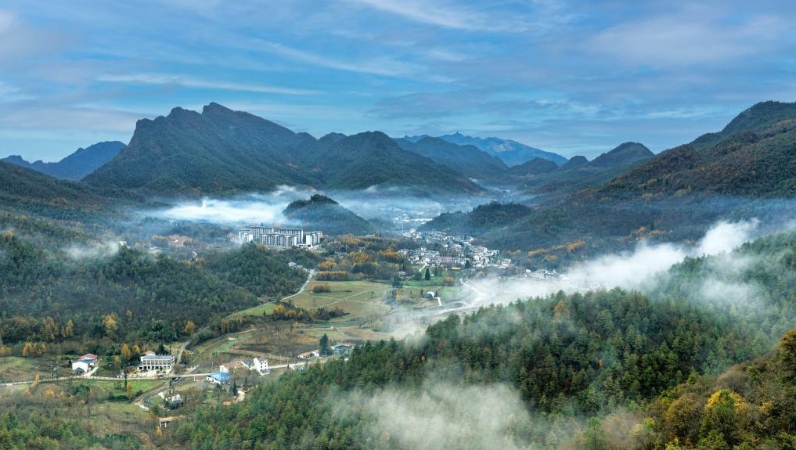 满山药香党建红