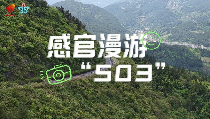 感官漫游“503”