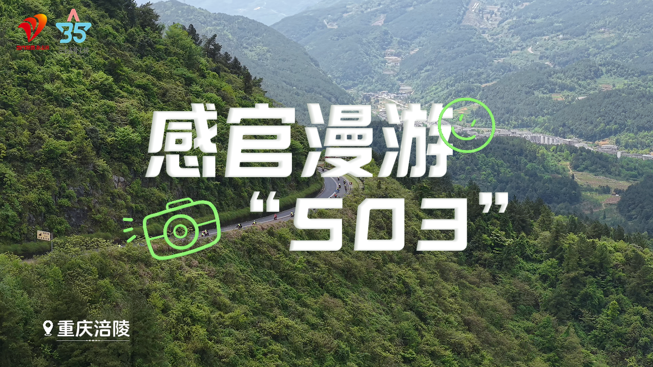 感官漫游“503”
