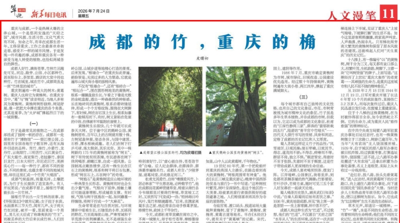 成都的竹，重庆的桷