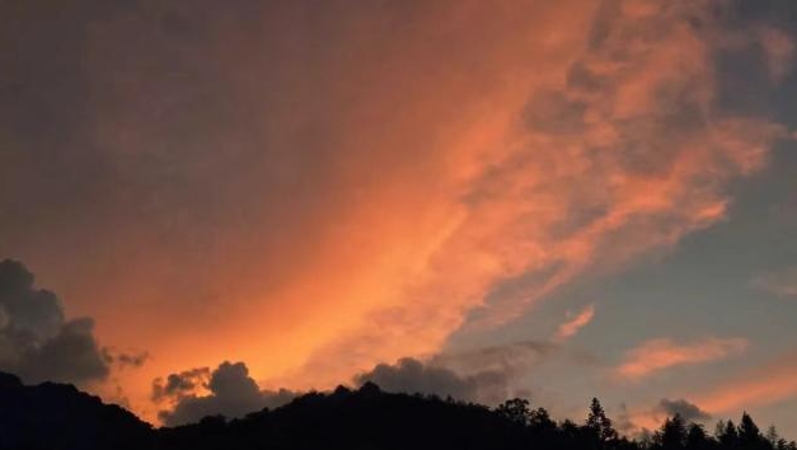 周鹊虹专栏｜炽热的夏日，黄昏才有血性