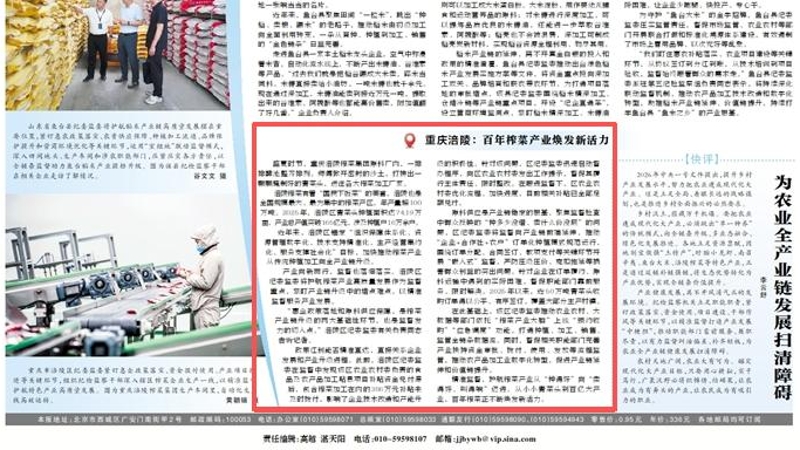 中国纪检监察报看重庆｜涪陵：百年榨菜产业焕发新活力
