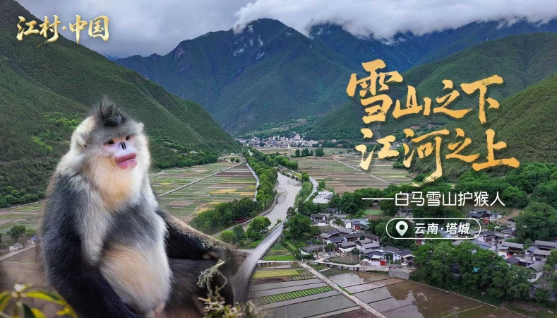 长江十年行｜“雪山精灵”守护人
