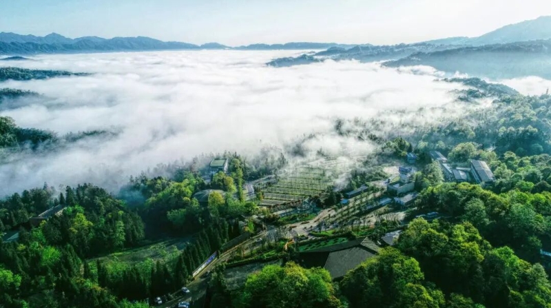 李立峰专栏｜碧峰峡行走