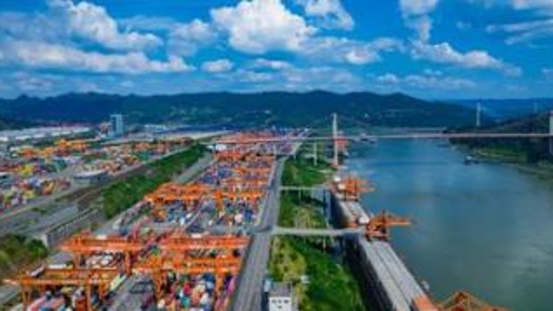 从58.1%增幅读懂重庆农产品出海