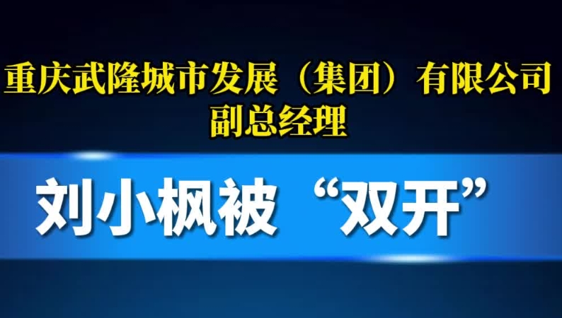 重庆武隆城市发展（集团）有限公司副总经理刘小枫被“双开”