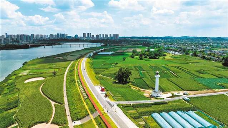 重庆4条公路获评全国“2026年度美丽公路”
