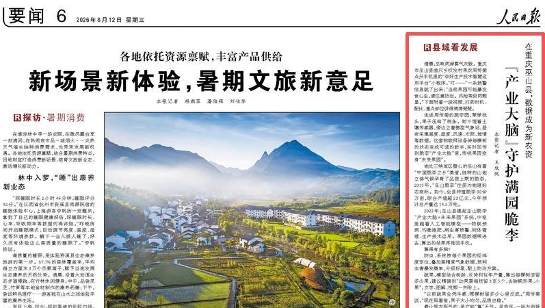人民日报看重庆｜巫山：“产业大脑”守护满园脆李