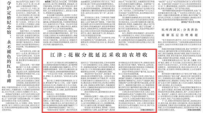 新华每日电讯看重庆｜江津：花椒分批延迟采收助农增收