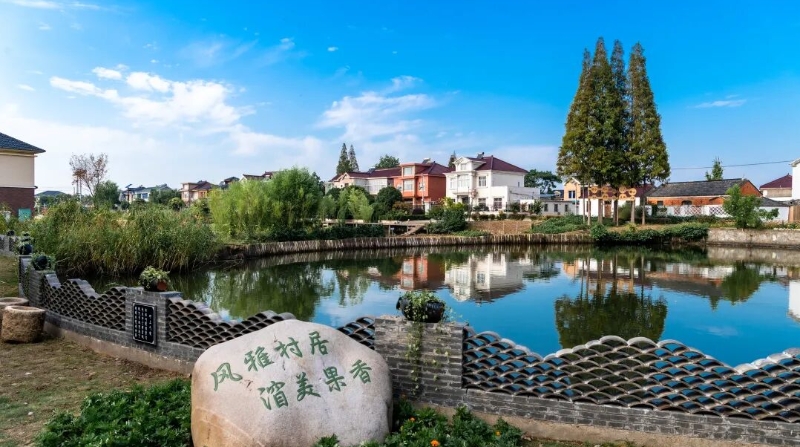 长江十年行｜扬中立新村十年蝶变记