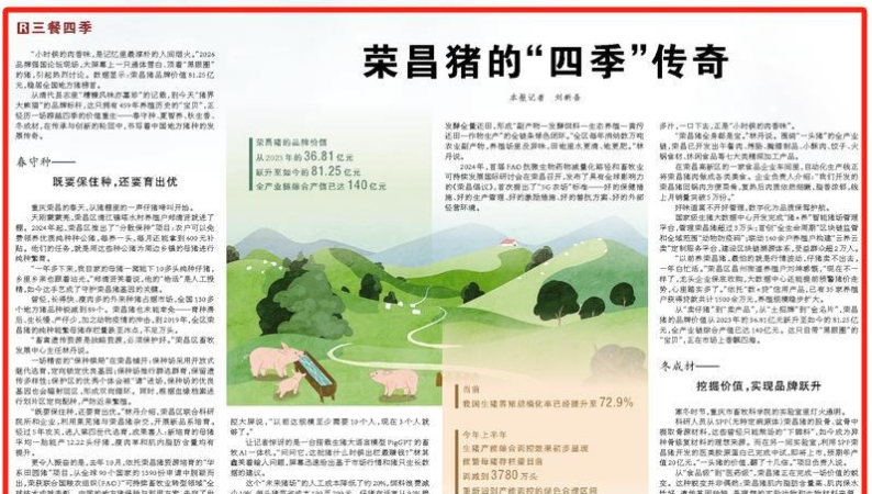 人民日报看重庆｜荣昌猪的“四季”传奇