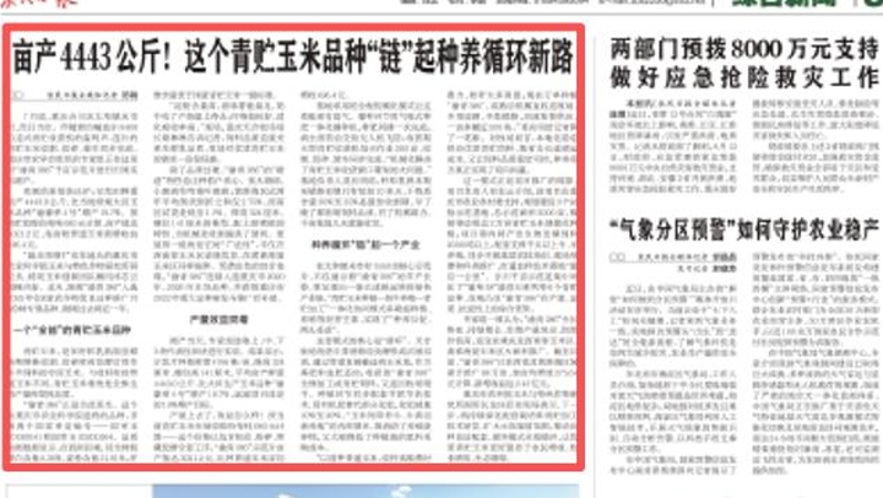 农民日报看重庆｜亩产4443公斤！这个青贮玉米品种“链”起种养循环新路