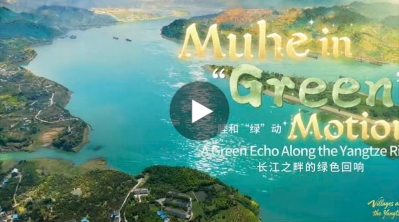 播放量超280万，《江村·中国》重庆篇“出海”破圈