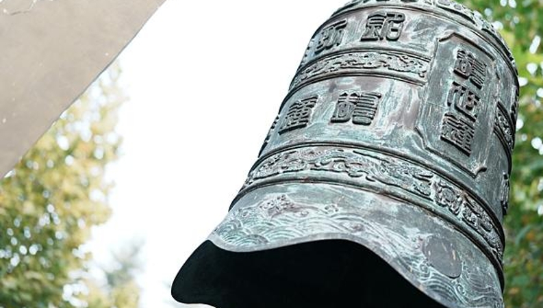谭德成专栏｜仲夏枫香