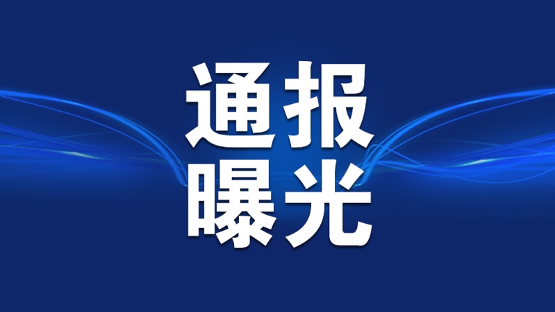 重庆通报3起整治形式主义为基层减负典型问题