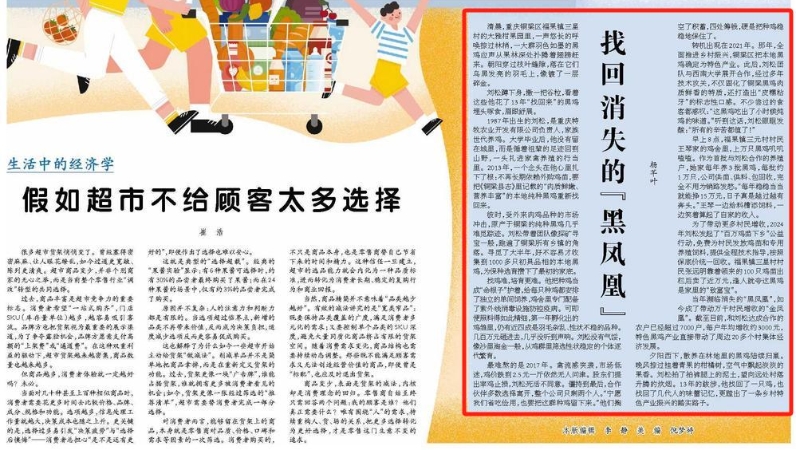 找回消失的“黑凤凰”