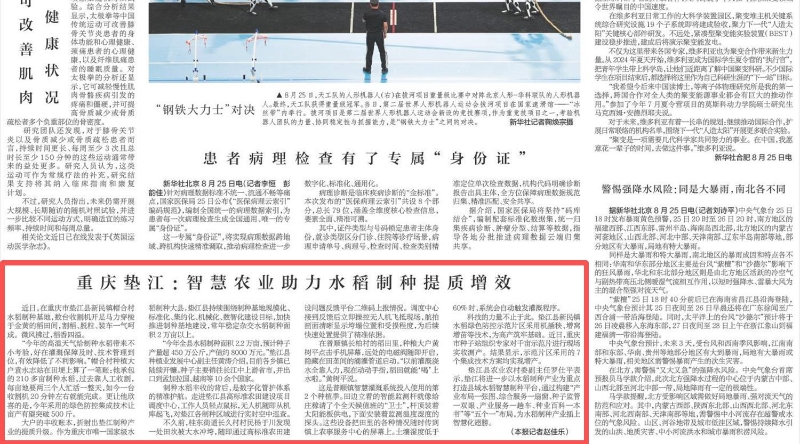 重庆垫江：智慧农业助力水稻制种提质增效