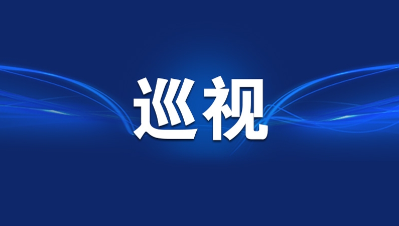 六届重庆市委第八轮巡视完成反馈