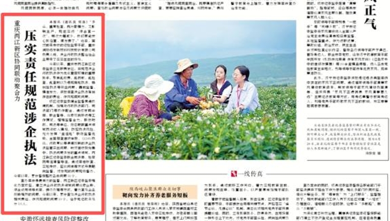 重庆两江新区协同联动聚合力 压实责任规范涉企执法