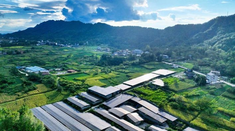 重庆首次开展小时级绿电交易