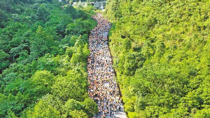 山活万物生