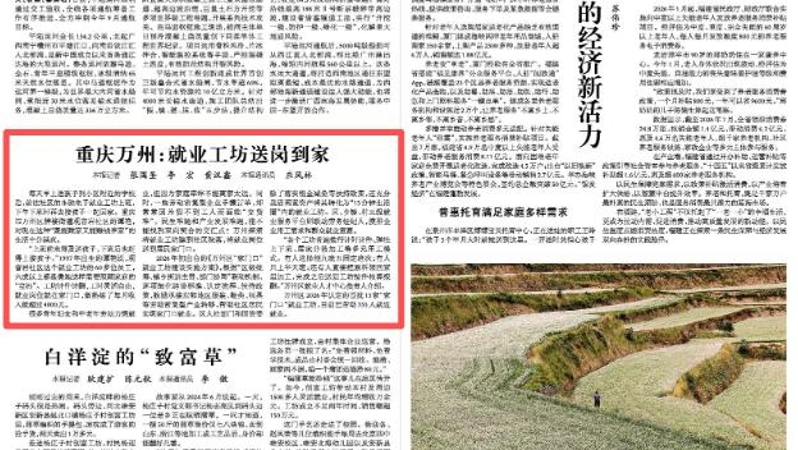 重庆万州：就业工坊送岗到家