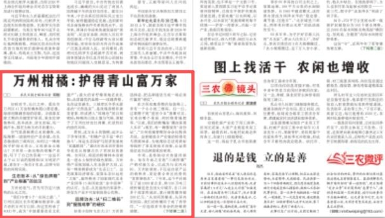 重庆万州柑橘：护得青山富万家