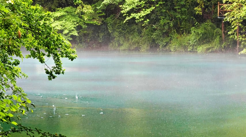 符纯荣专栏丨夏天，去巴山大峡谷（组章）