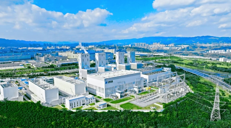 今年“没有一家企业因缺气而停产”