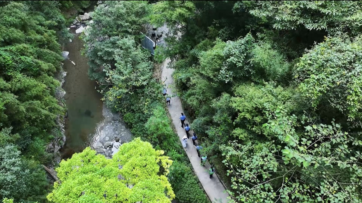 当生态警务走进绿水青山