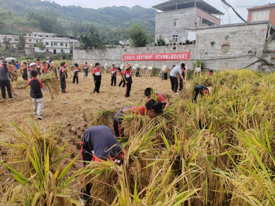 一群“泥腿子”老师的故事