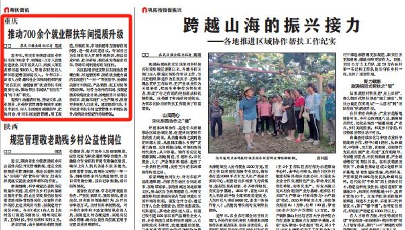 重庆推动700余个就业帮扶车间提质升级