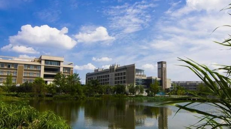 半月谈丨重庆交通大学招生就业处副处长袁理：分类施策 破除就业指导“一刀切”