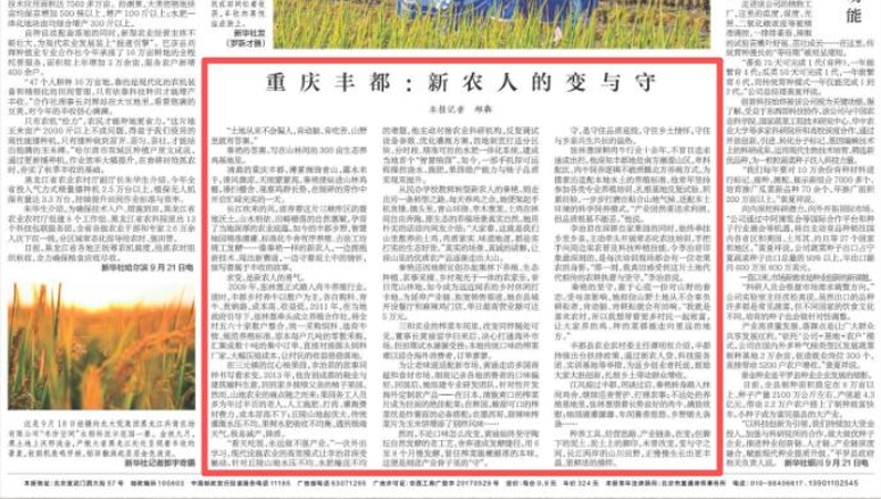 重庆丰都：新农人的变与守