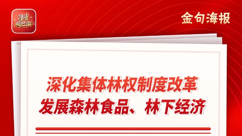 习语暖巴渝｜重庆城口：让绿色资源转化为绿色收益
