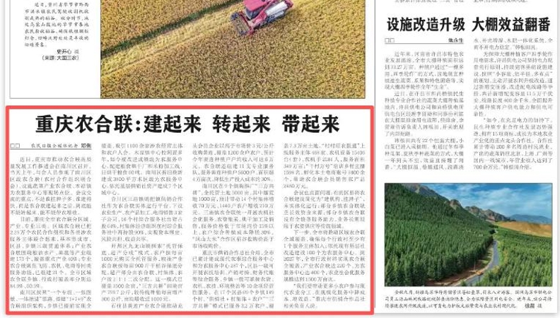 重庆农合联：建起来 转起来 带起来