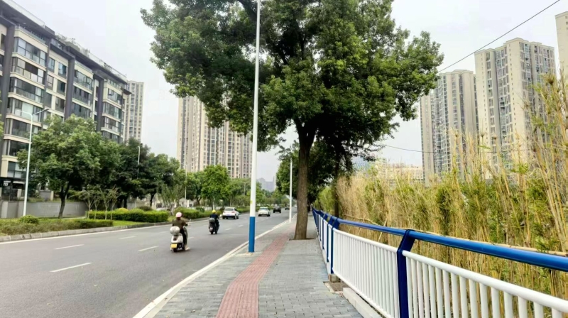 党建领航，让民主在基层“落地有声”