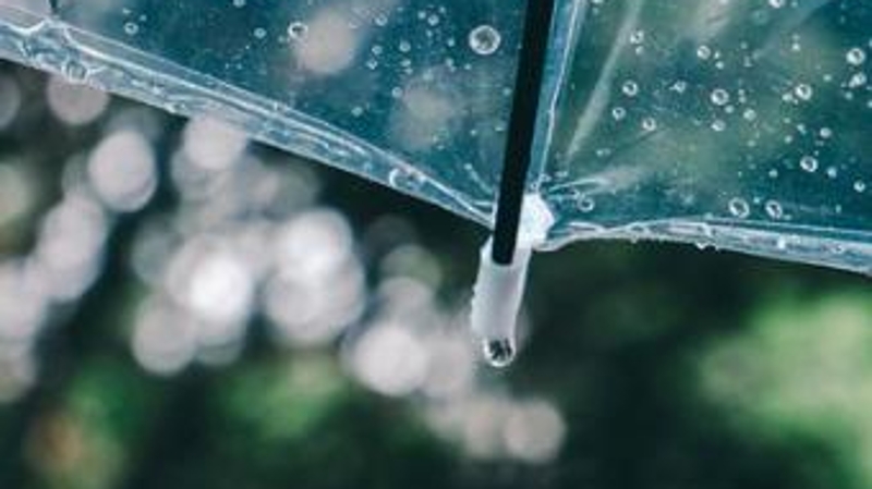 10月2日夜间重庆降水增强 偏南地区中到大雨局地暴雨