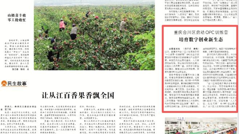 重庆合川区启动OPC训练营 培育数字创业新生态