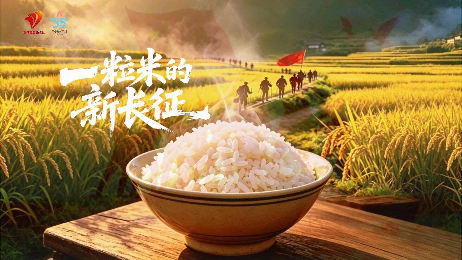 一粒米的新长征