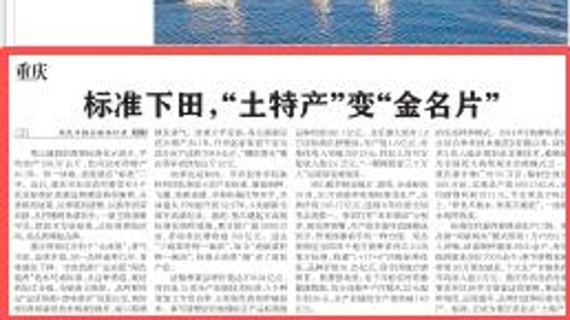 重庆：标准下田，“土特产”变“金名片”