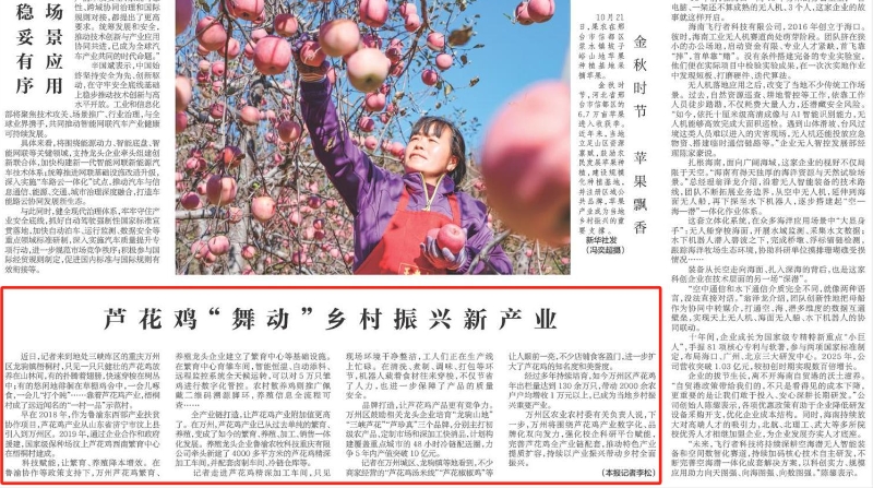 芦花鸡“舞动”乡村振兴新产业