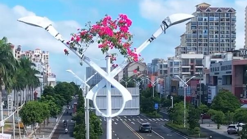 海南惊现“花坚强”，三角梅迎来一场爱的保护